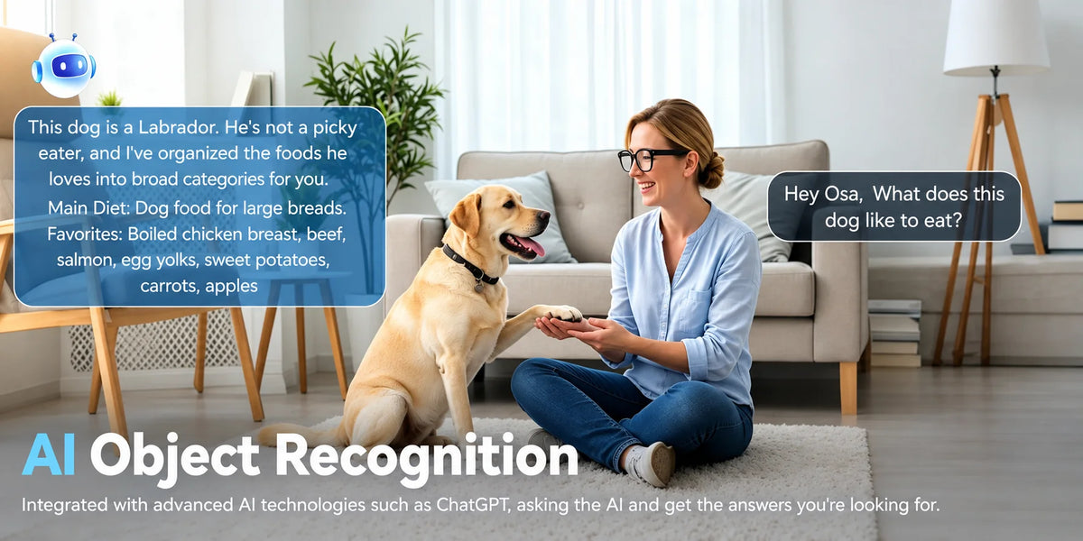 AI Object Recognition demo, woman chatting with AI to know Labrador dog favorite food, integrated advanced AI chat technology