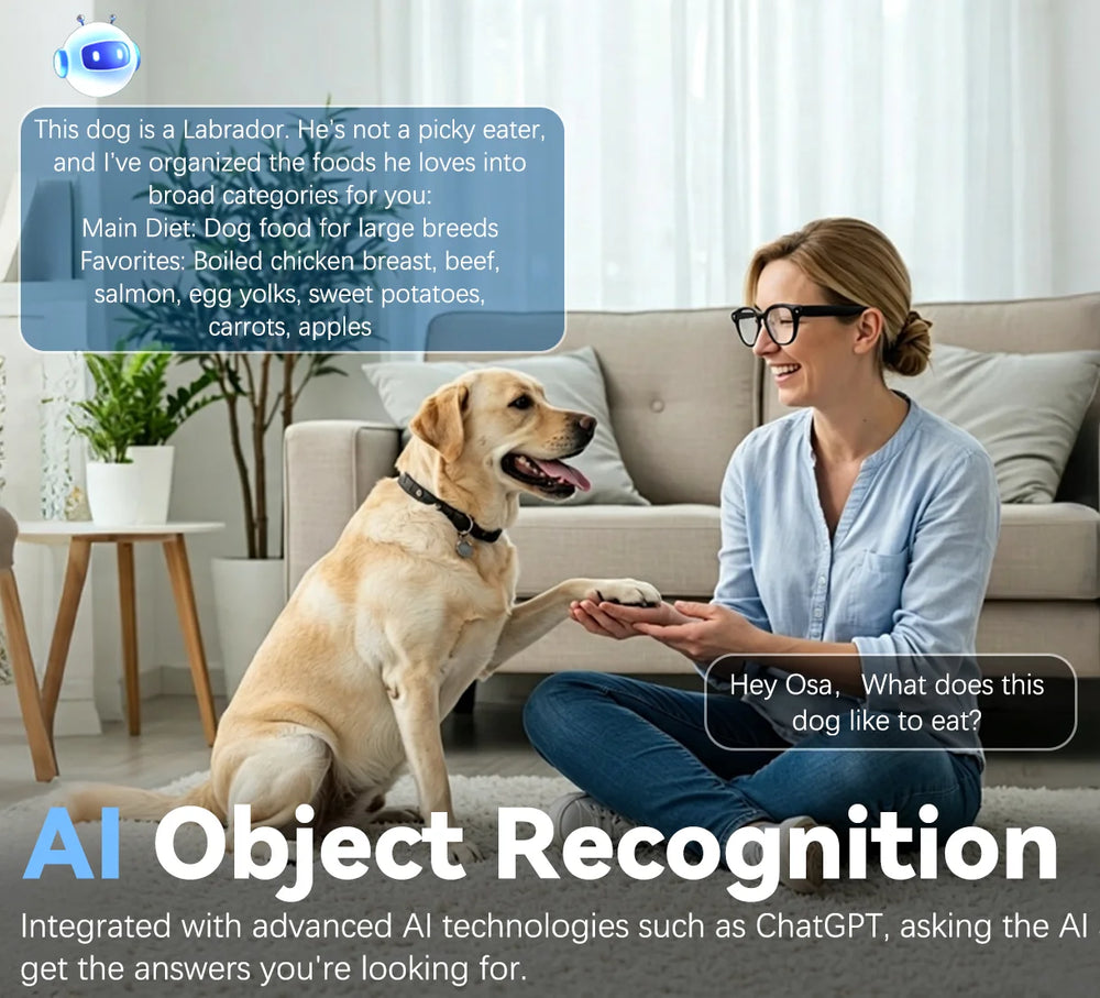 Osawalla  smart‑glasses AI object recognition demo, user asks AI about dog information via voice command at home